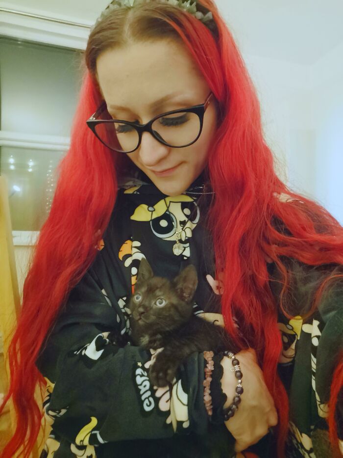 I Adopted Loki Today