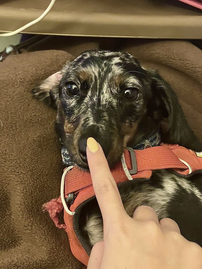 I Thought You All Might Like To See My New Baby! I Just Adopted Her On Thursday