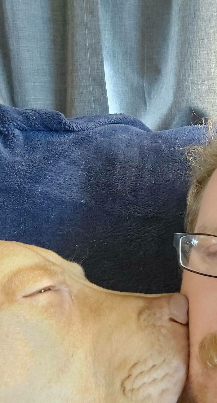 Adopted This Guy A Few Weeks Ago, Hes Gone From Timid Around Me To This But I Don't Mind