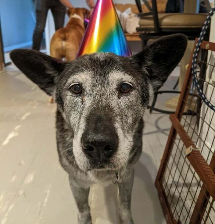 Proton Celebrated Her Sweet Sixteen Today!