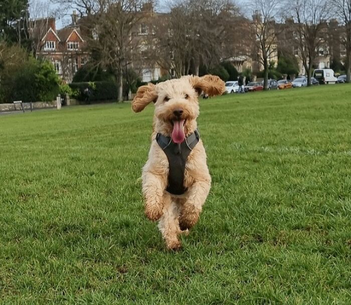 I Think I've Already Taken The Best Picture I Will Take In 2023