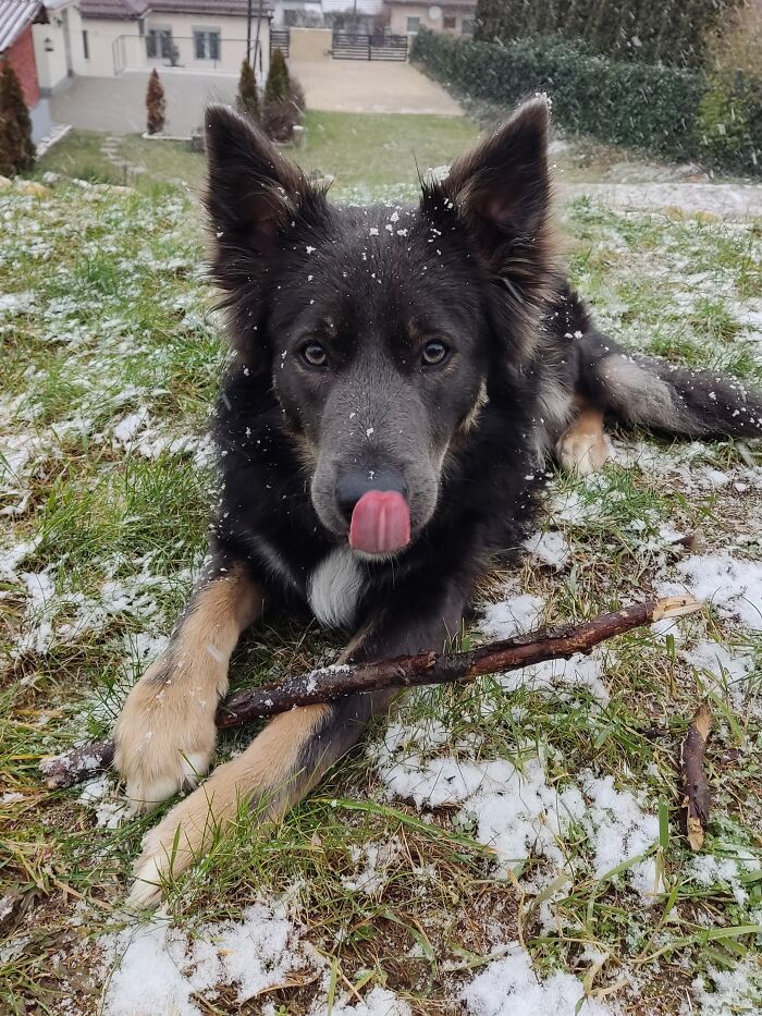 What A Difference A Stick Can Make