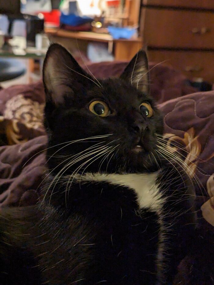 I Told Her That She's Adopted