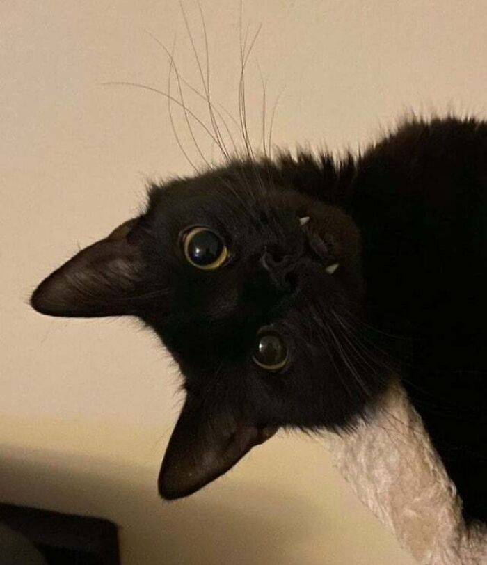 I Want To Drink Your Milk