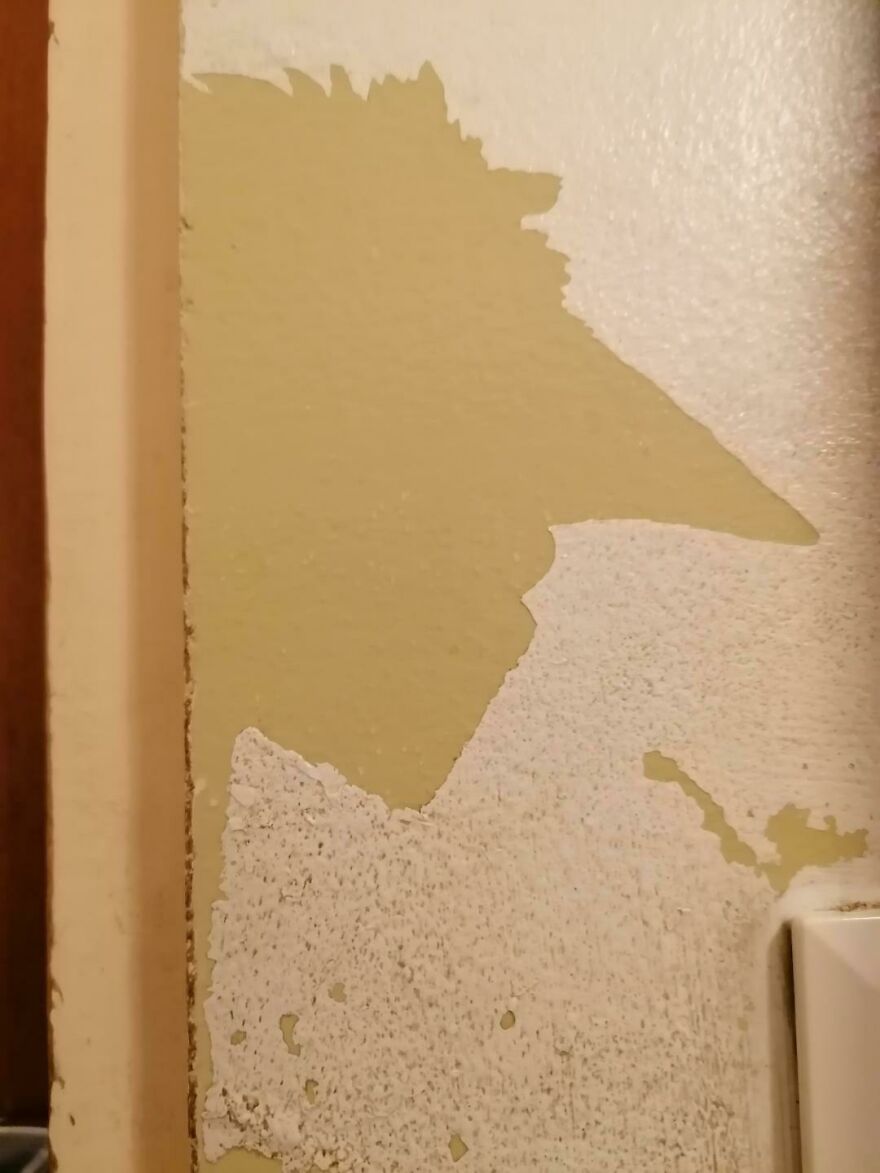 The Scratched Paint On Our Bathroom Wall Looks Like A Face With A Big Pointy Nose