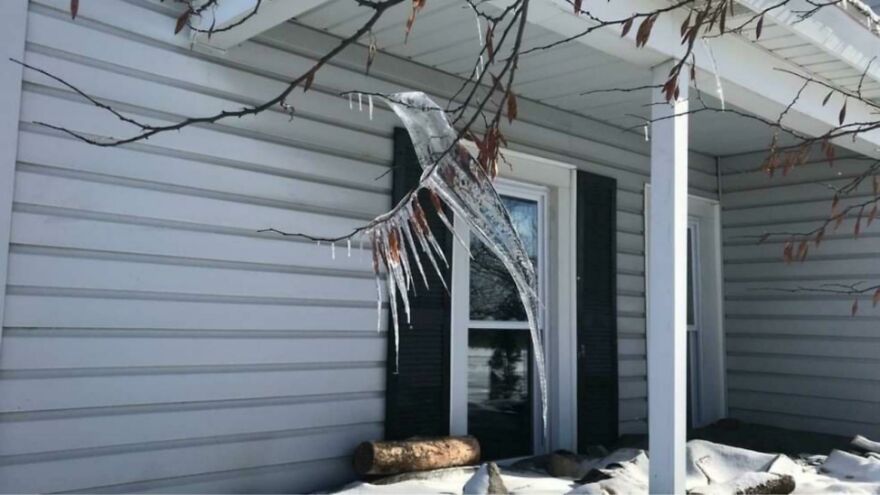 Icicle Shaped Like A Hummingbird