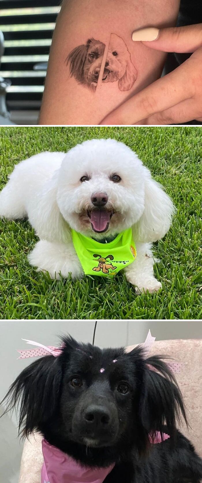 Pet tattoos celebrating human-animal bond, featuring a fluffy white dog on grass and a black dog with bows.