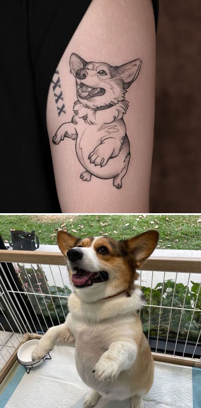 Corgi tattoo on arm beside a live corgi dog, celebrating human-pet bond.