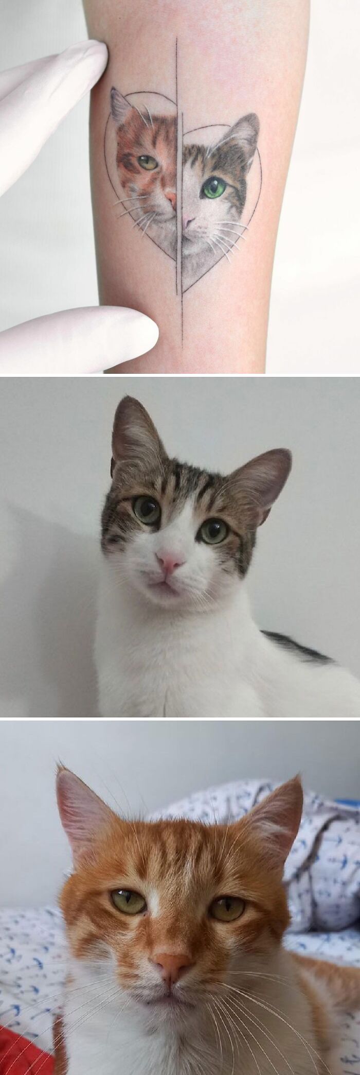 Pet tattoos celebrate human-animal bond, featuring split-face cat design and two matching cats.