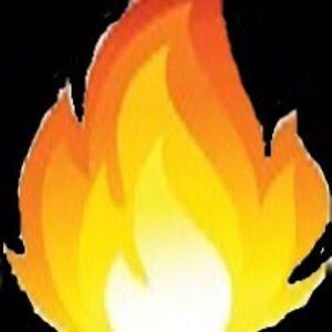 trueflameslingerflame avatar