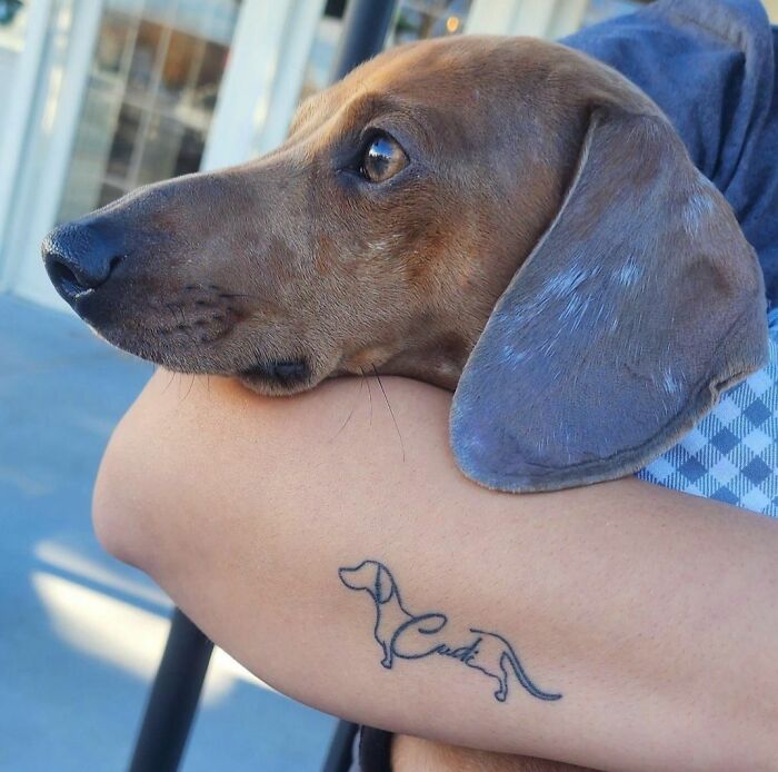 Dog tattoo on arm, celebrating the bond between humans and pets, as a brown dachshund is lovingly held.