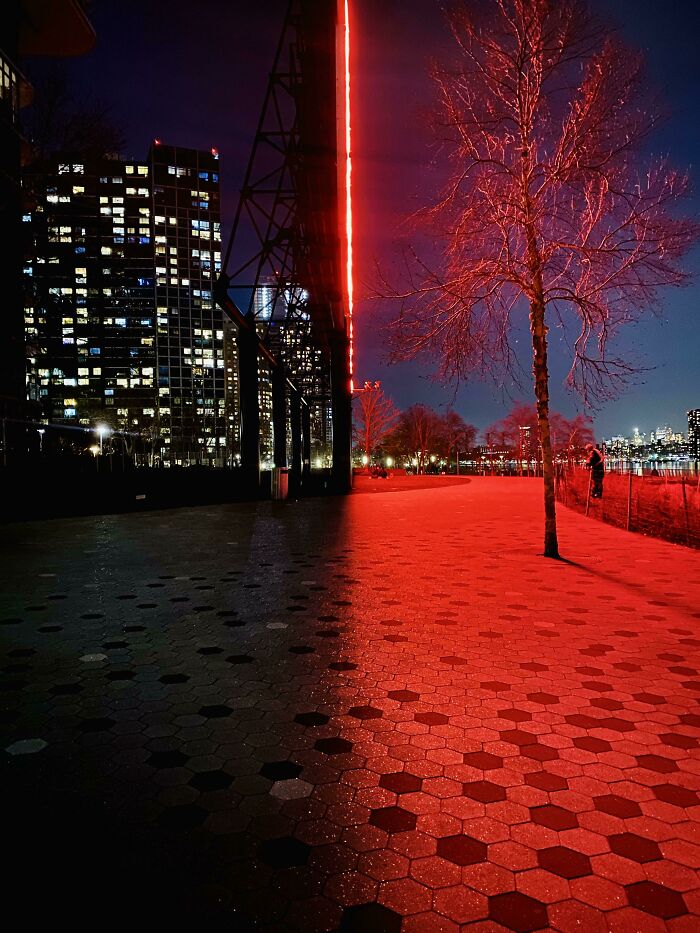 Night scene in New York featuring illuminated buildings and a red-lit pathway with a bare tree, showing city uniqueness.