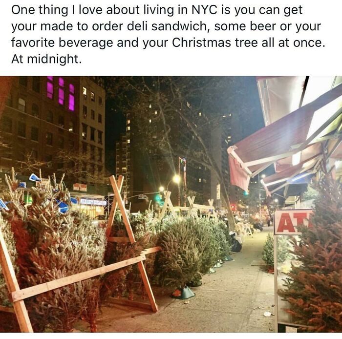 Street lined with Christmas trees and deli stands at night in New York City, showcasing unique city life moments.