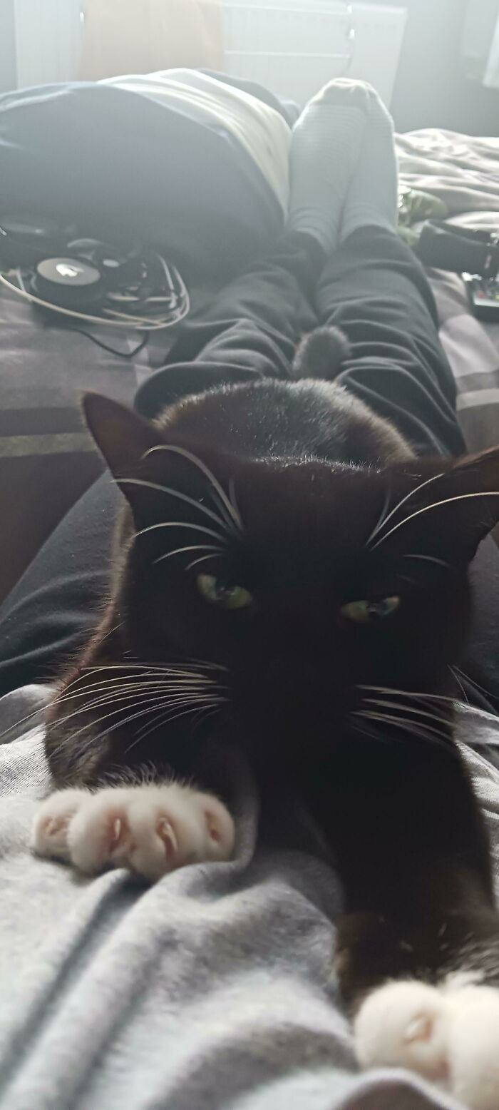 I'm Being Threatened While Trying To Work From Home