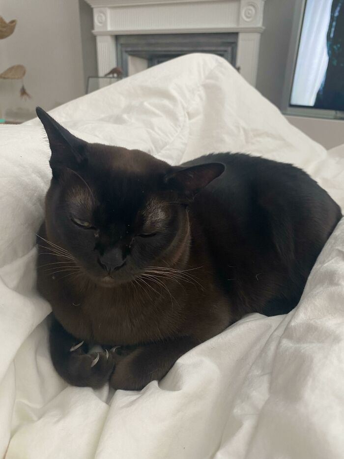 When She’s Relaxed But Also Doesn’t Want You To Forget The Potential To Murder