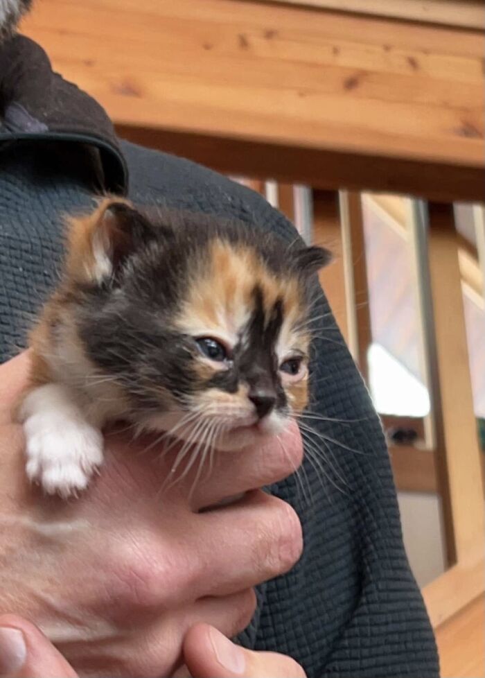 Beware Of Drumstick!