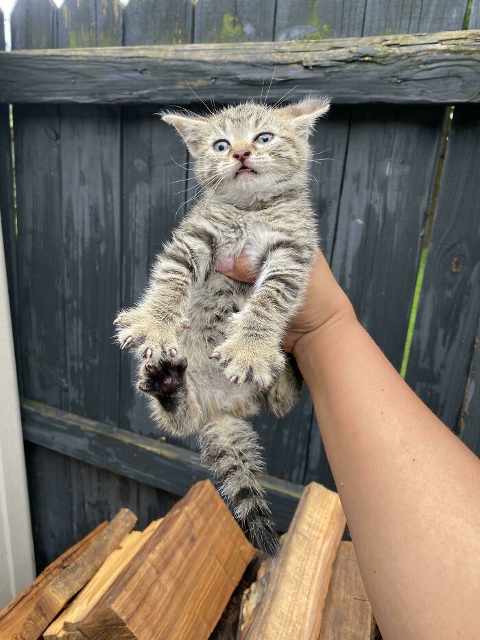 My Baby Girl When I Found Her Back In June