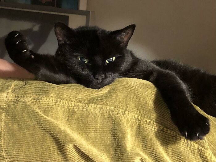 I Was Told That My Fearsome Baby Belongs Here