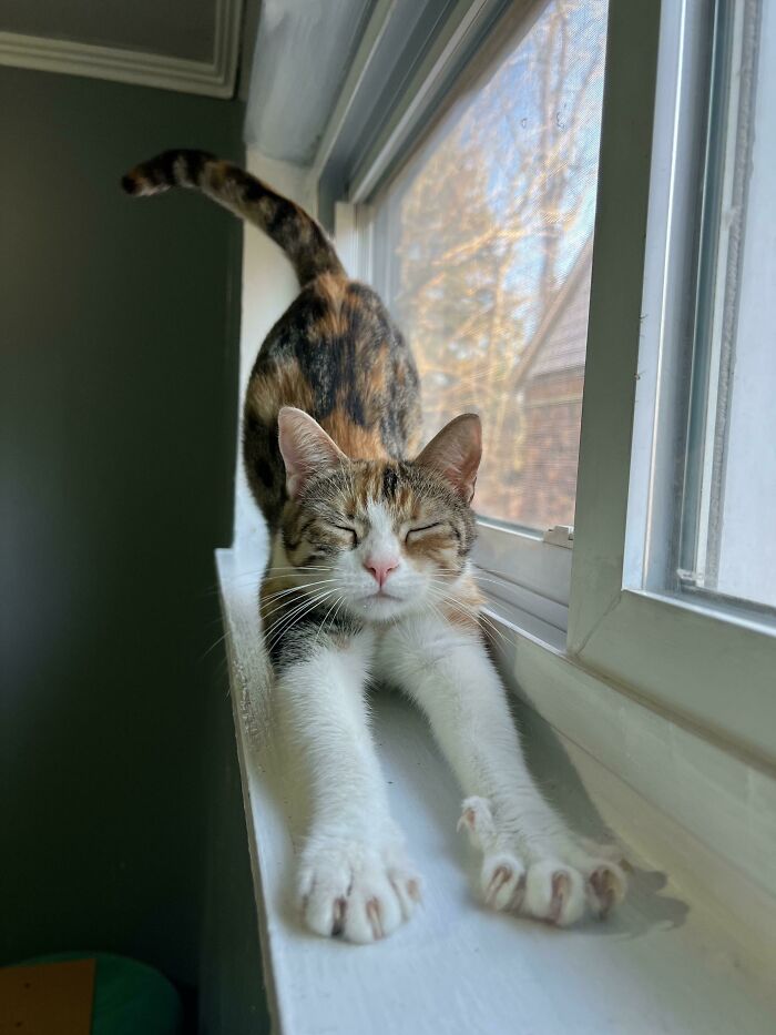 Mama Asparagus Does A Murder Mitten Stretch!