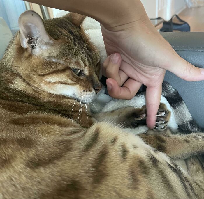 She Likes To Hold Hands… If You Can Take It