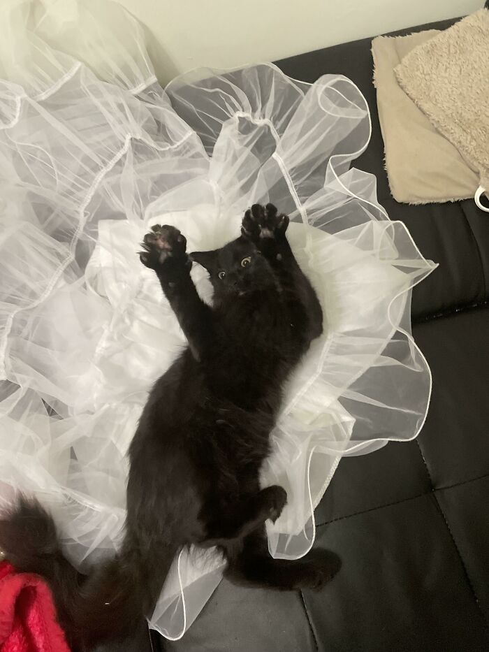 I’m Being Threatened