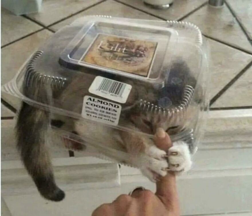 Murder Mitten Snack Box Murder Mitten Snack Box