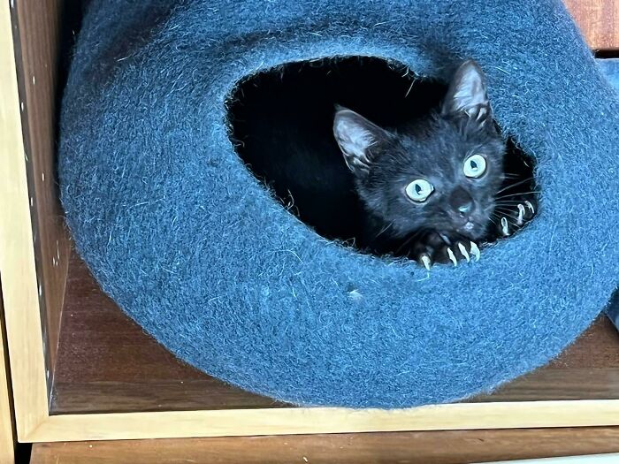 Loki, Prince Of Darkness, Defending His Bat-Cave