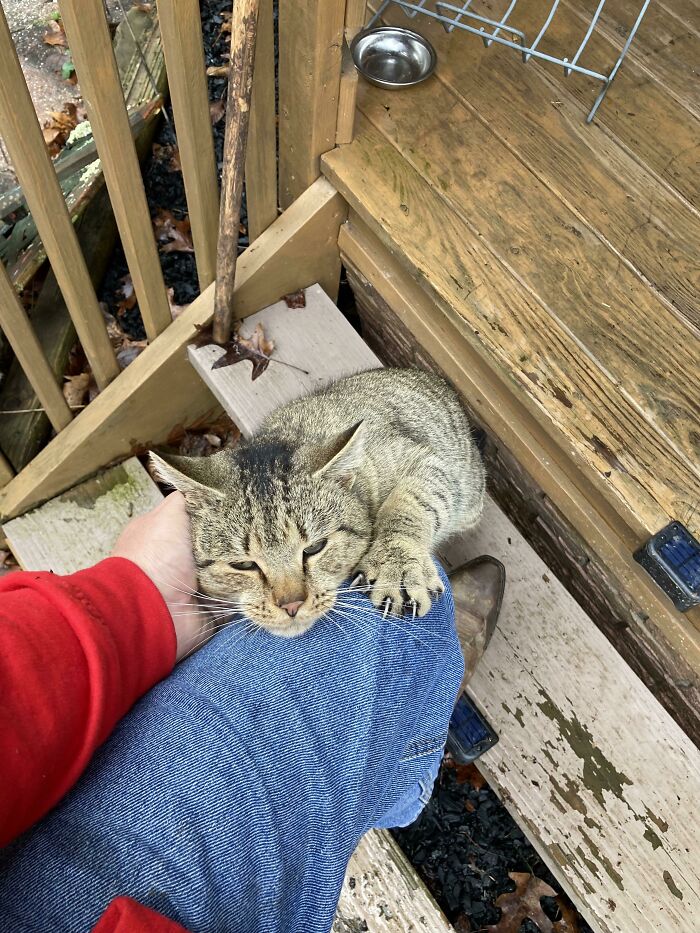 I Was Told This Guy Might Belong Here