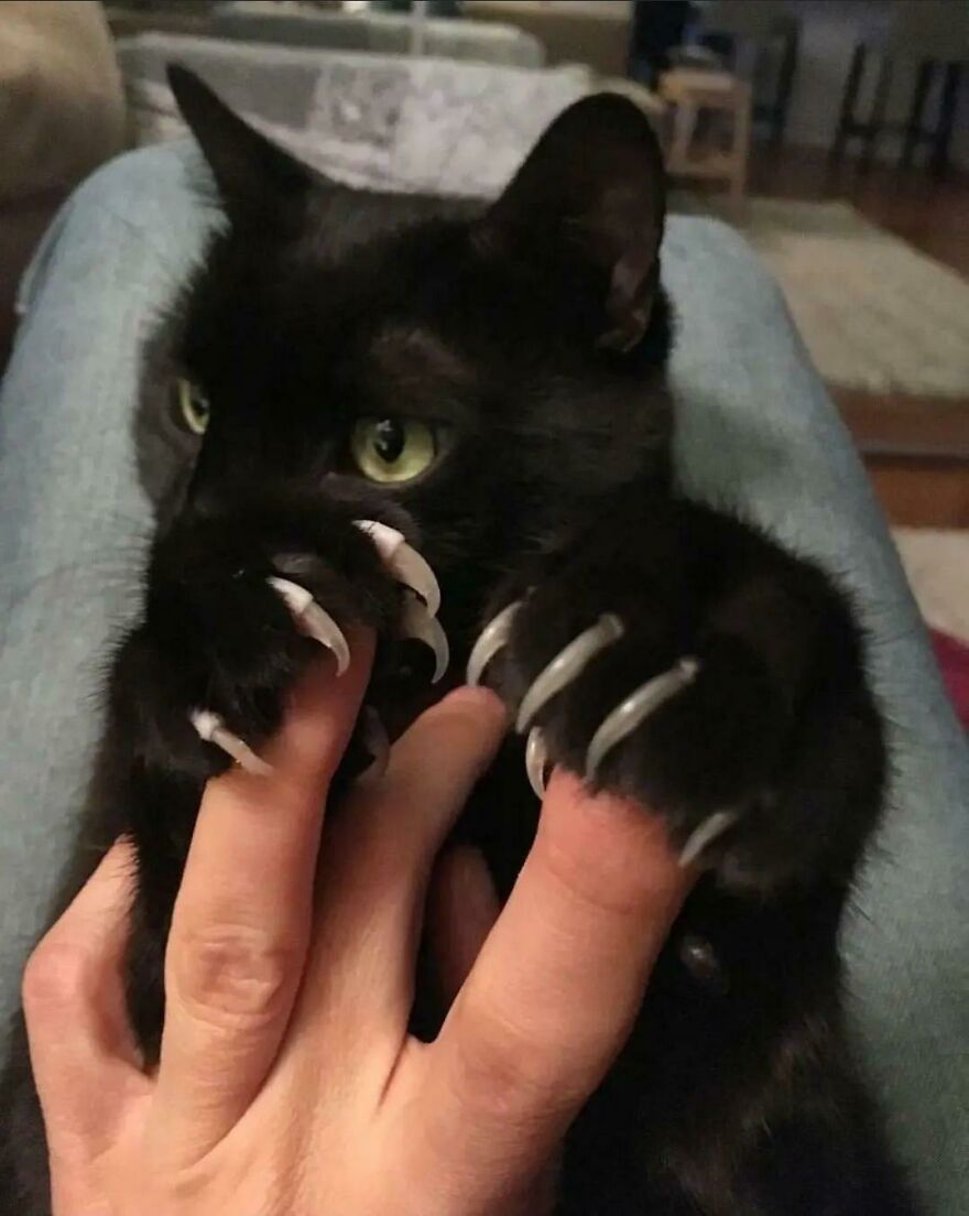 Scaryyy