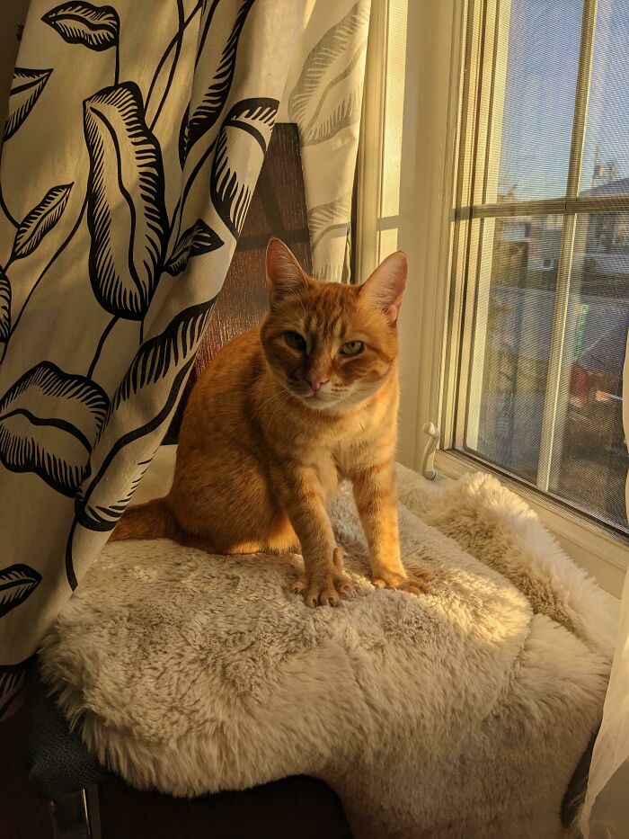 My Little Girl Baking Biscuits In The Sun
