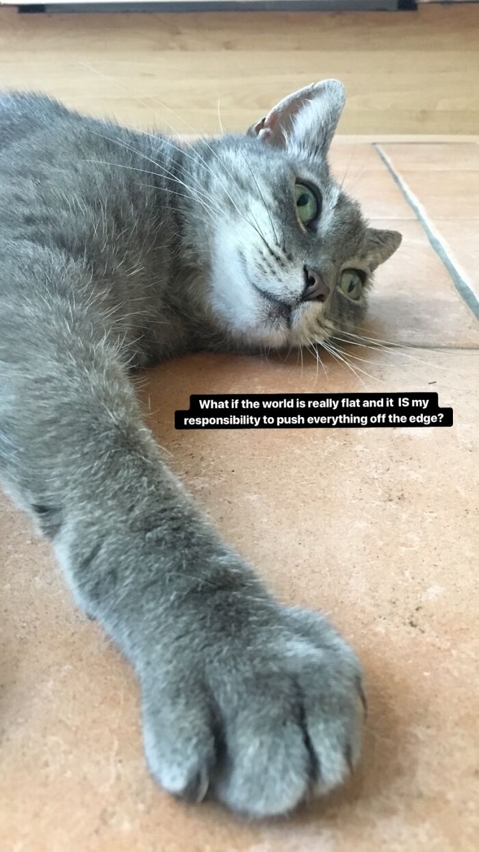 A Sudden Realization?