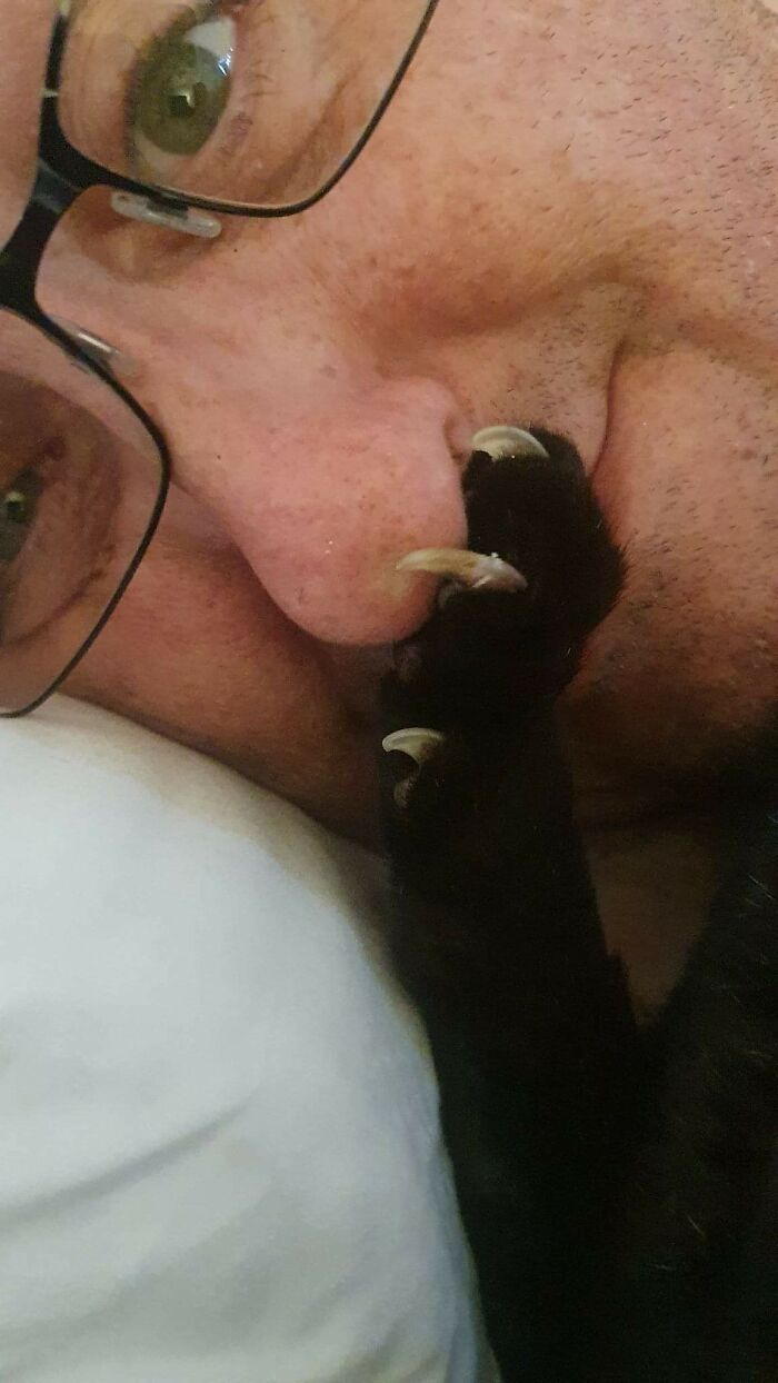 They Don't Call Him Charlie Scissorpaws For Nothing!