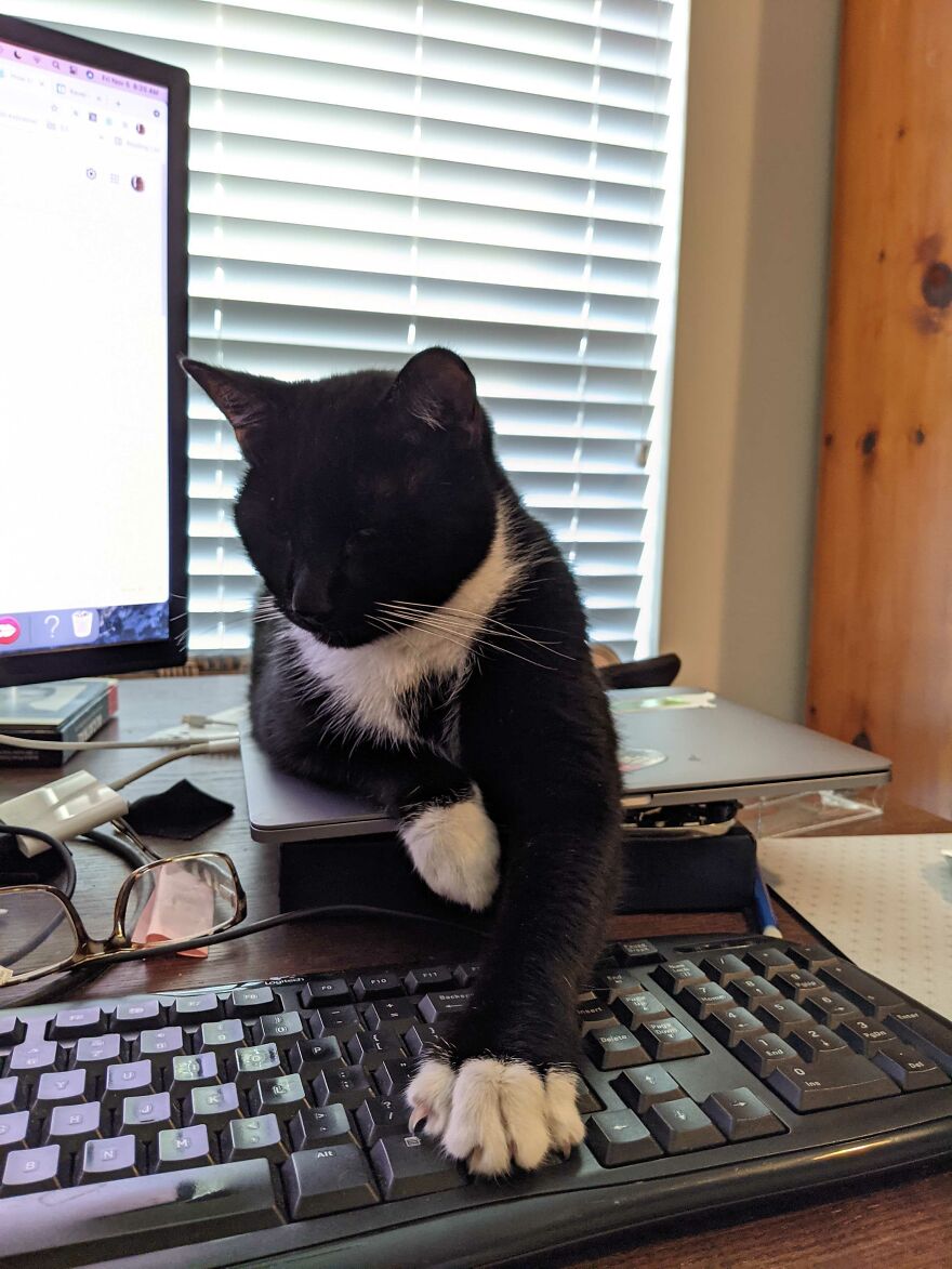 My Boss Is Such A Micromanager! My Boss Is Such A Micromanager!