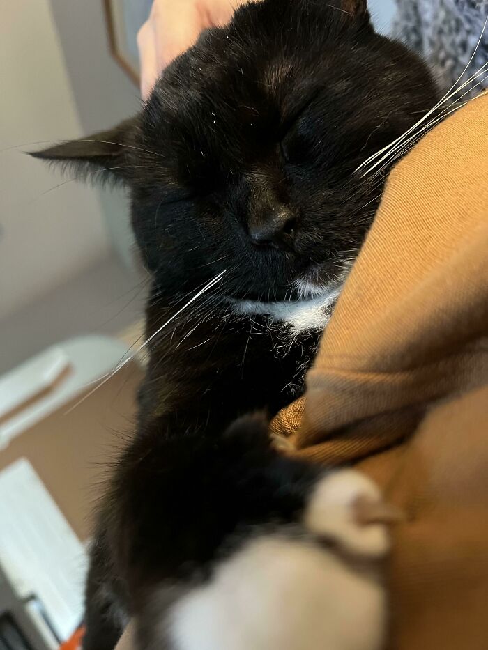 When He Wants An Advance On Breakfast, Lunch And Dinner