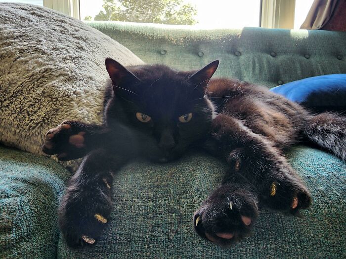 How Is Gus 89% Feet?