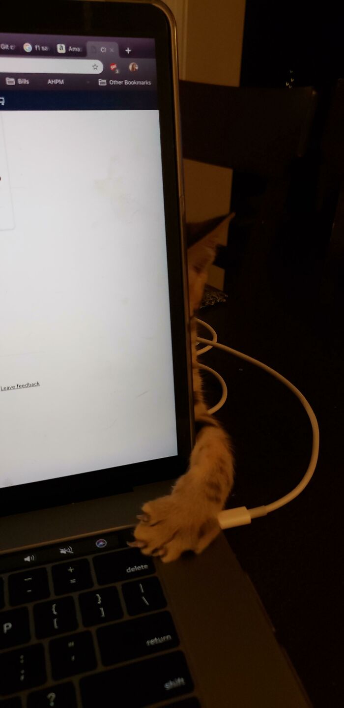 I Shall Delete Everything