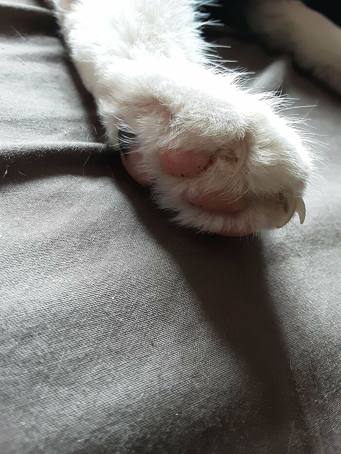 18 Years Old But Never Defenseless