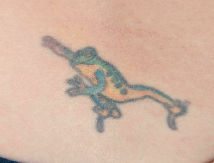 Aged tattoo of a colorful frog, showing faded colors and blurred lines over time.