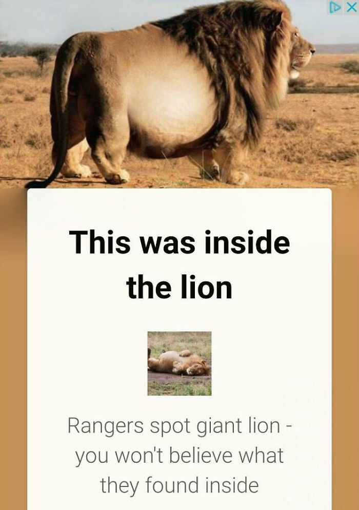 Lion Swallowed Baby Elephant Whole