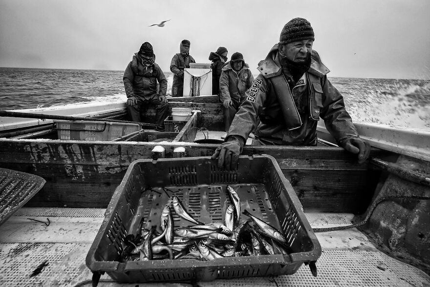 Bronze 2022 Editorial / Photo Essay, "Hatahata-A Gift From God In The Cold Winter"