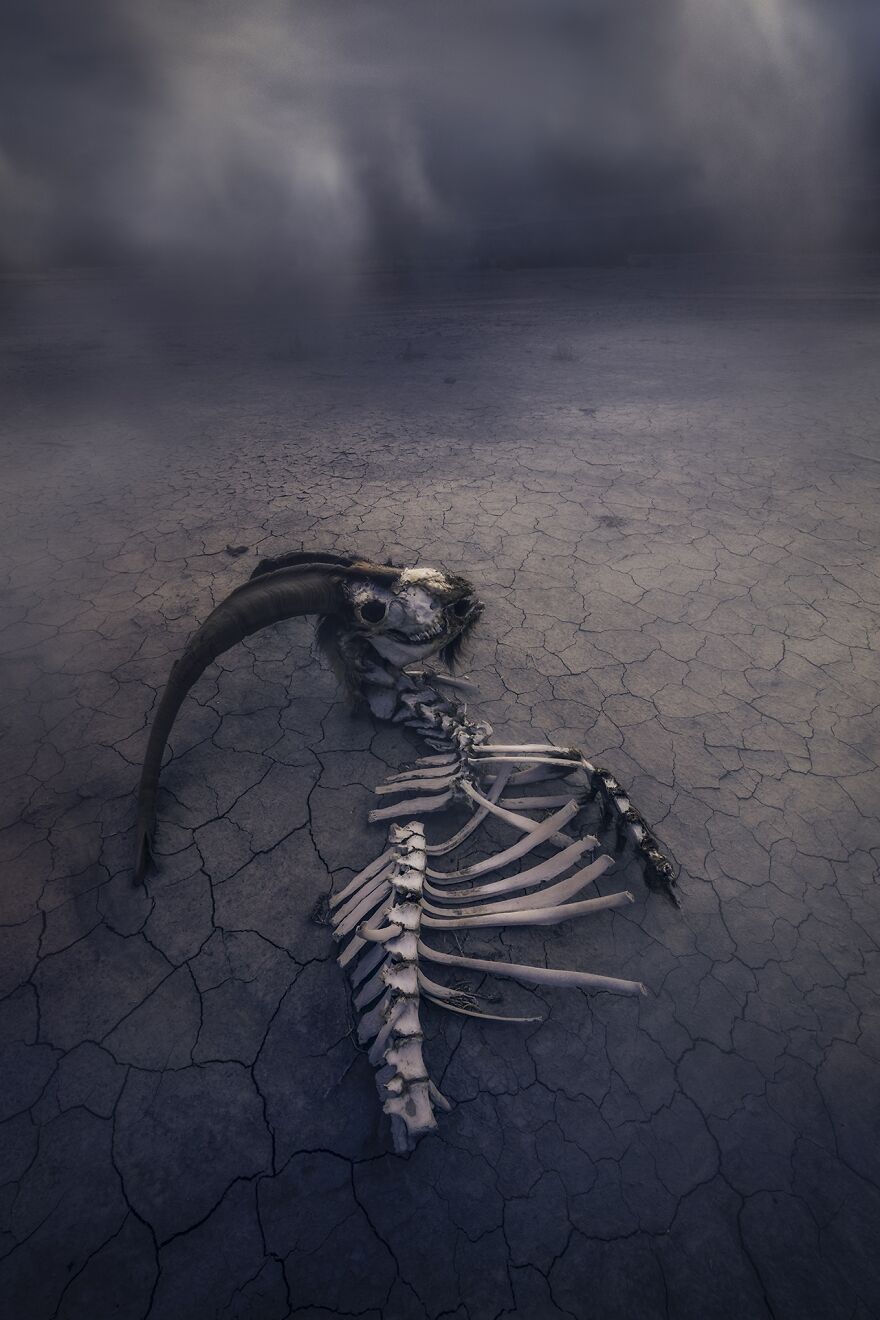 Silver 2022 Editorial / Environmental, "Time"