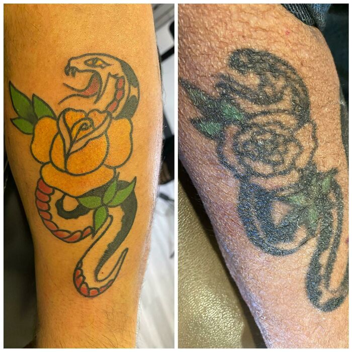 Side-by-side images of aged tattoos: a vibrant snake and rose on the left, and a faded version on the right.