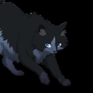 benjaminbrown_3 avatar