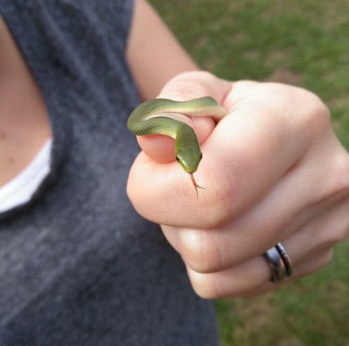 Saw This Little Cutie On Our Sunday Hike