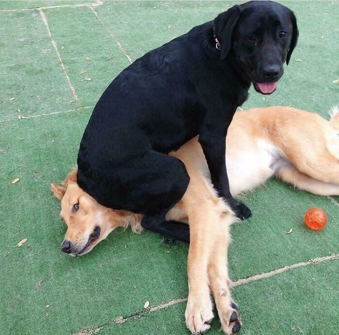 This Is Fun. We're Having Fun