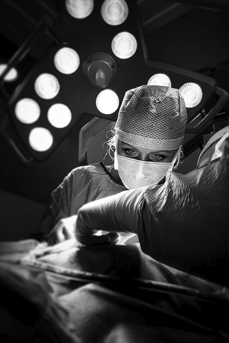 2nd Place 2022 Science, "Colleagues"