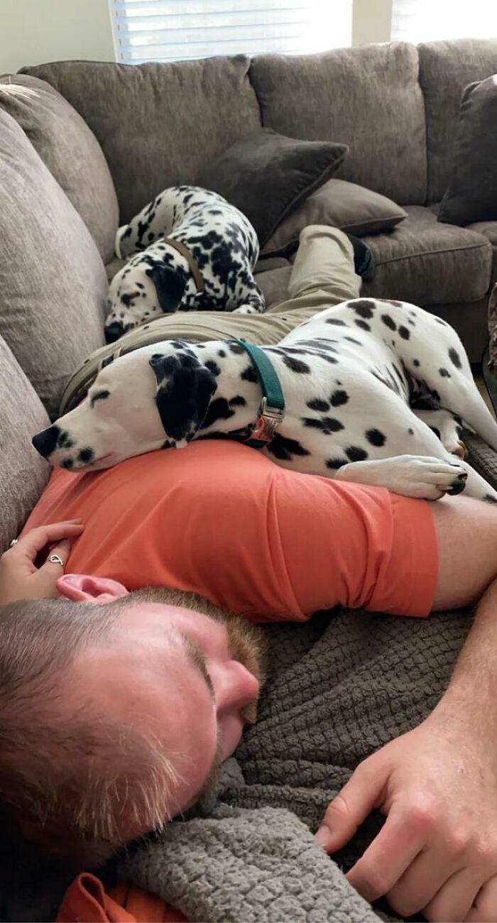 This Is All I’m Good For. Lol. Boyfriend And Dog #1 Laying On My Legs While Dog #2 Lays On His