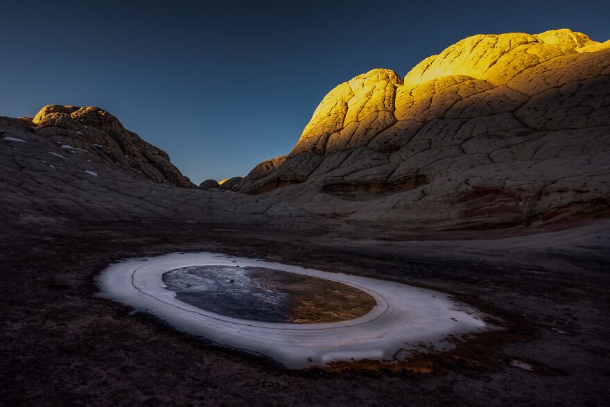 1st Place 2022 Nature, "Over Easy Alien Egg Fry"