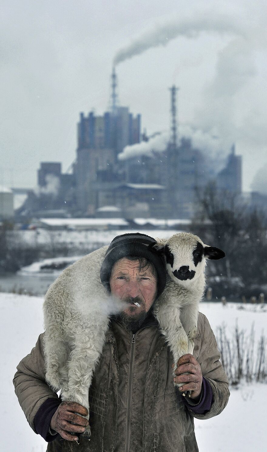 Bronze 2022 People / Portrait, "Peter"