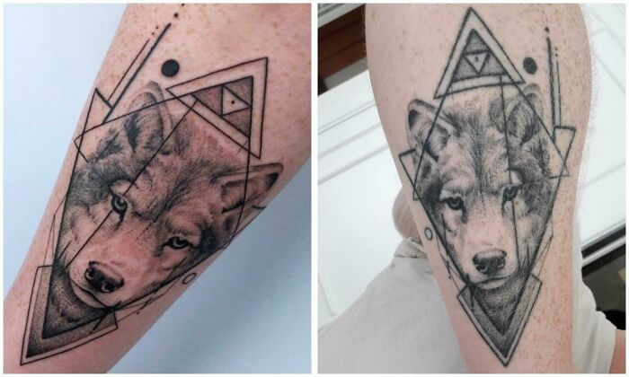 Aged tattoos of a wolf within geometric designs on forearms, showcasing ink changes over the years.